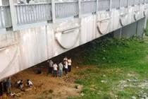 Phát hiện thi thể nam thanh niên nhảy cầu nổi trên trên sông Hương