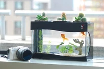 Bí kíp tăng tài lộc theo con giáp vô cùng hiệu quả