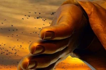 Giới hạn tham lam phá hỏng hạnh phúc, làm hại chính mình