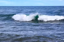 Thấy thế giới bị mất tích dưới đáy Thái Bình Dương