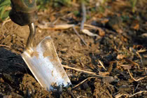 Đào vườn nhà được 28 thỏi vàng, bán lấy 21 tỷ đồng ăn tiêu