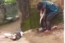 Trộm chó, nam thanh niên bị người dân treo chó lên cổ