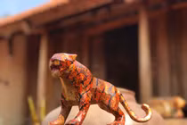 Chiêm ngưỡng đàn hổ cực chất của 8x Hà Nội