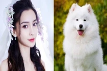 Bước qua tháng 4, đây là 3 con giáp may mắn, vượt nghịch cảnh 