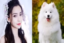 Bước qua tháng 4, đây là 3 con giáp may mắn, vượt nghịch cảnh 