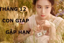 Video: Top con giáp bị tiểu nhân quấy phá, khó khăn muôn trùng tháng 12/2019