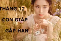 Video: Top con giáp bị tiểu nhân quấy phá, khó khăn muôn trùng tháng 12/2019