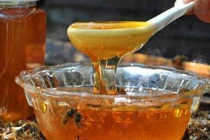 Đừng pha mật ong theo 5 cách này kẻo mất sạch dinh dưỡng