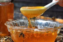 Đừng pha mật ong theo 5 cách này kẻo mất sạch dinh dưỡng