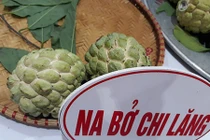 Hàng hiếm ở “vương quốc” na Lạng Sơn