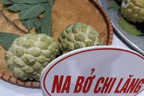 Hàng hiếm ở “vương quốc” na Lạng Sơn