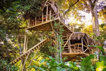 Cặp vợ chồng làm nhà lơ lửng trên cây giữa rừng