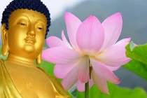 Những khai thị về nhân quả báo ứng giúp bạn hết khổ mỗi ngày