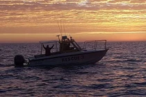 Hú vía bơi cùng cá mập hơn 3 giờ