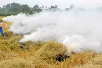 Bán chẳng ai mua, dân xứ Nghệ mang "sợi vàng" ra đốt