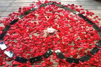 Chàng lập trình viên mua 25 chiếc iPhone X cầu hôn bạn gái