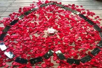 Chàng lập trình viên mua 25 chiếc iPhone X cầu hôn bạn gái