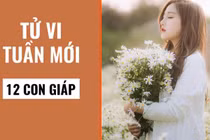 Video: Tử vi tuần mới từ 30/9 đến 6/10 năm 2019 của 12 con giáp