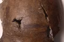 Phát hiện hộp sọ nạn nhân sóng thần xưa nhất Trái đất?