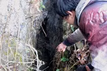 Bí ẩn hang động chôn giấu 70 thúng vàng bạc ở Cao Bằng