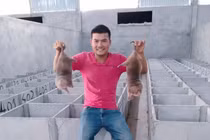 Nuôi con vật nhàn hạ bán nửa triệu đồng/kg