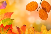 4 con giáp đón những điều tốt đẹp, thuận buồm xuôi gió trong tháng 9