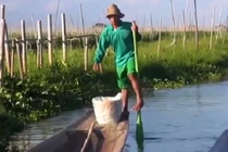 Nghệ thuật chèo thuyền một chân siêu phàm của người Intha