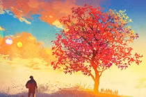 Đây là mất mát tất yếu ta phải trải qua