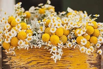 Tử vi thứ hai ngày 7/1/2019 của 12 cung hoàng đạo