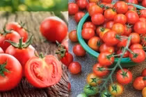 Nhìn vào điểm này: Biết ngay cà chua có ngọt, mọng nước, nhiều thịt