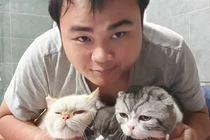 Chú mèo nổi tiếng mạng xã hội Việt Nam giờ ra sao