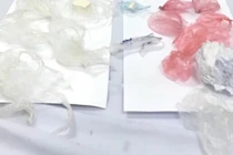 12 giờ "giải cứu" cục ma túy giấu trong vùng kín