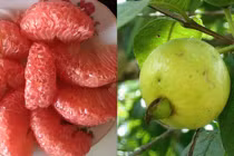 5 loại quả giúp da trắng bóc, bụng phẳng, ăn vào buổi tối càng hiệu quả