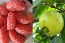 5 loại quả giúp da trắng bóc, bụng phẳng, ăn vào buổi tối càng hiệu quả