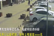 Video: Mất xe ô tô, sốc khi xem video thấy “thủ phạm”