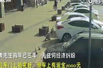 Video: Mất xe ô tô, sốc khi xem video thấy “thủ phạm”