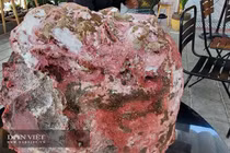 Vô tình vớ được cục đá lạ ,chủ nhân bán vội cũng được tiền tỷ