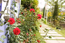 Phát hiện mối tình vụng trộm của vợ nhờ chi tiết nhỏ trên máy tính