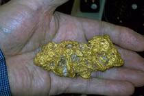 Dắt chó đi dạo, nhặt được cục vàng trị giá 900 triệu đồng