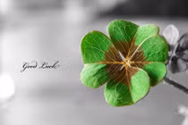 Thấu suốt 6 điều này để cuộc đời may mắn nhân đôi