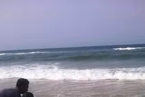 Xuất hiện cá voi chết bất thường trôi dạt vào bờ biển Huế