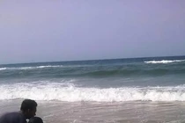 Xuất hiện cá voi chết bất thường trôi dạt vào bờ biển Huế