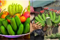 Điều tối kỵ khi chọn chuối thờ ngày Tết kẻo rước hạn nặng