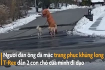 Video:'Khủng long T-Rex' dẫn chó đi dạo lúc phong tỏa