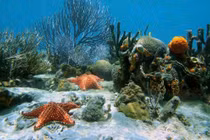 7 vùng đất bí ẩn chưa được khám phá ở 'nơi tận cùng thế giới'