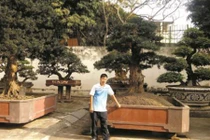 Đại gia Toàn đô la: Ăn quả đắng đau đớn chỉ vì "sính ngoại"