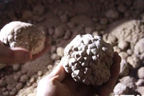 Cảnh đẹp mê hồn trong động rắn khổng lồ, dài 50km