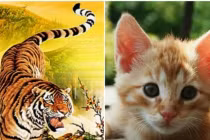 Tuần mới: 3 con giáp chính thức thoát nghèo, đổi vận sung sướng 