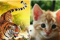 Tuần mới: 3 con giáp chính thức thoát nghèo, đổi vận sung sướng 