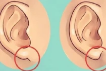 3 tướng tai của người phữ nữ có cuộc sống ấm no, hôn nhân viên mãn